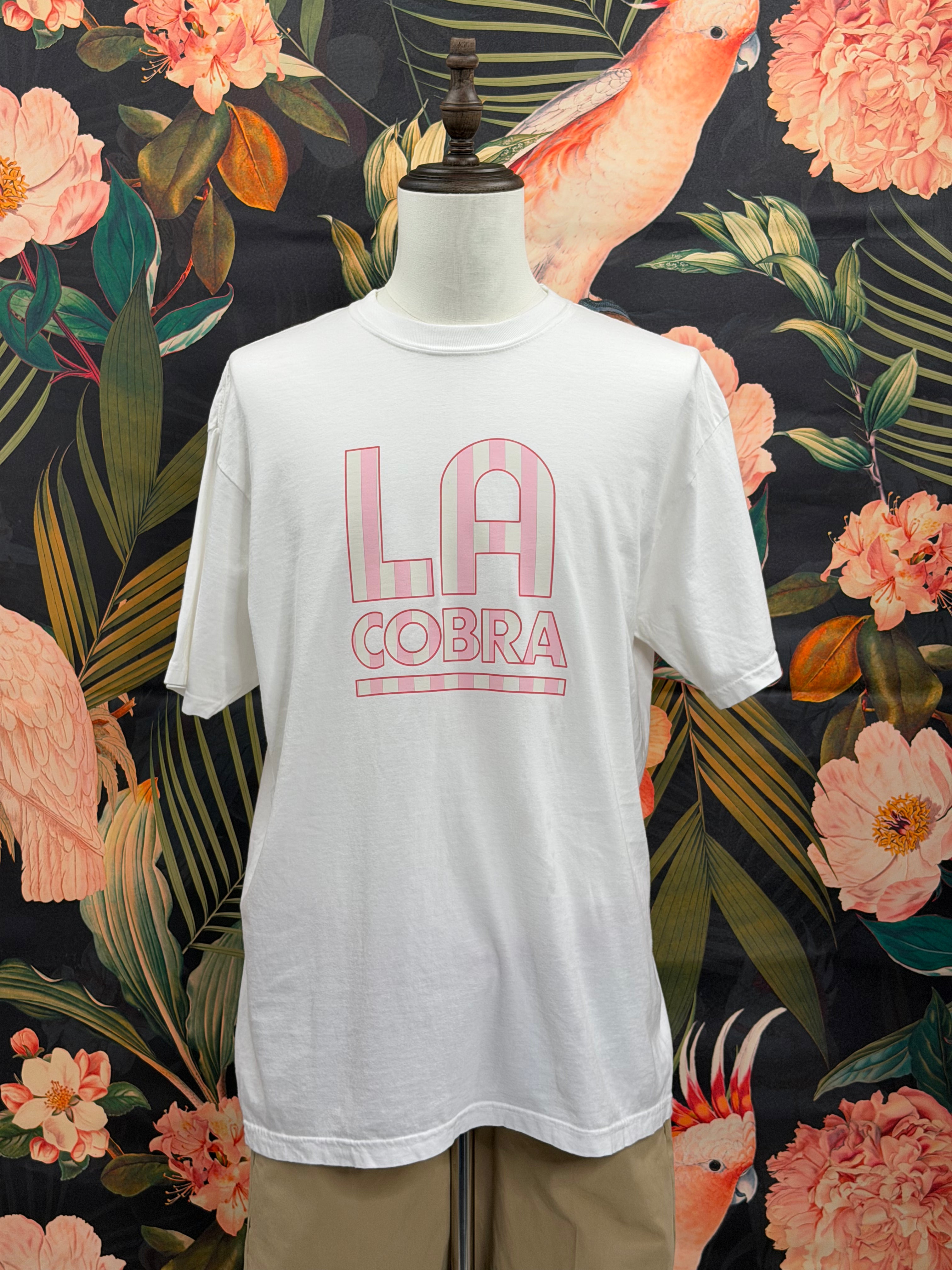 Cabana Stripe Heavyweight Tee - Pink